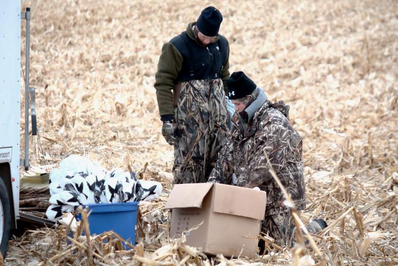 snow goose hunting